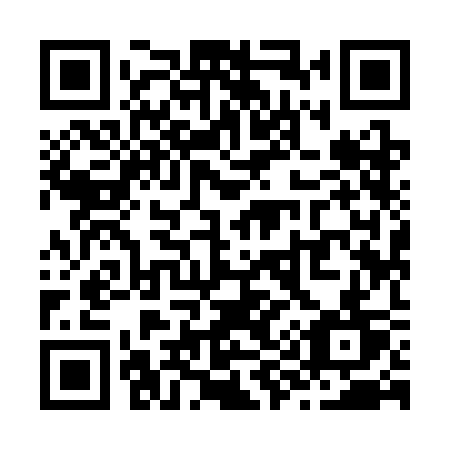 QR code for Z993CT