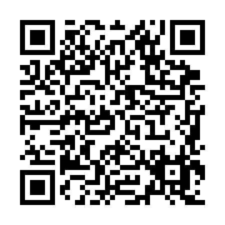QR code for Z993H