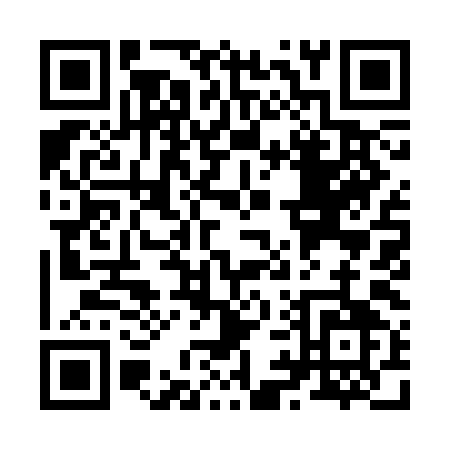QR code for Z993I