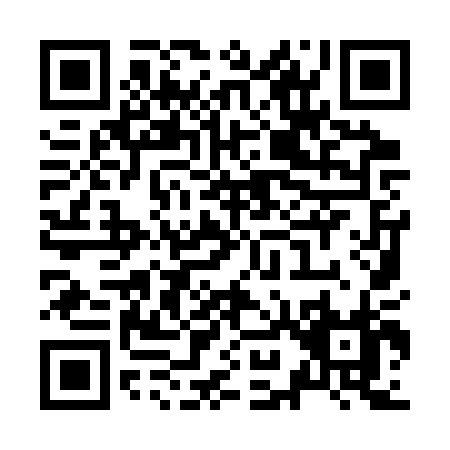 QR code for Z993P