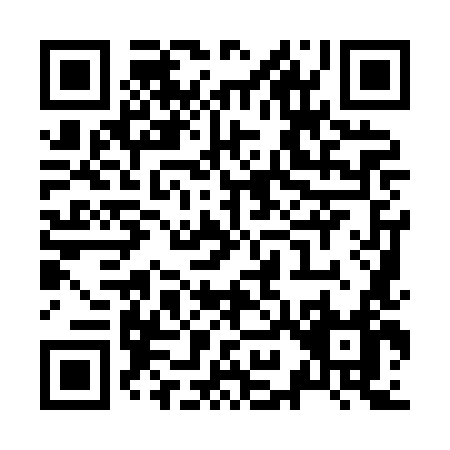 QR code for Z998L