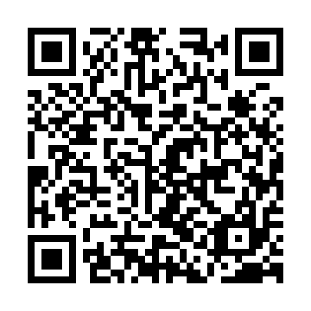 QR code for AAE 917