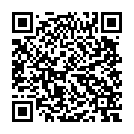 QR code for AAG463