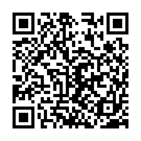 QR code for plate AAI 313