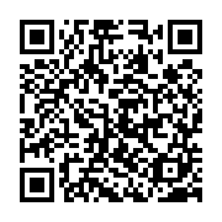 QR code for AAO541
