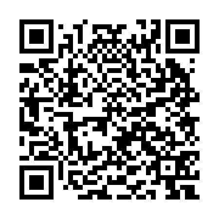 QR code for plate AAP 271