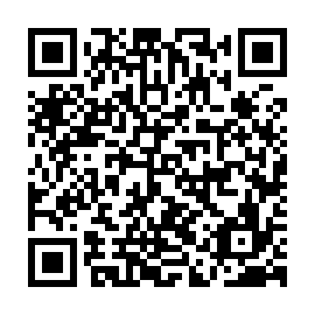 QR code for AAV936