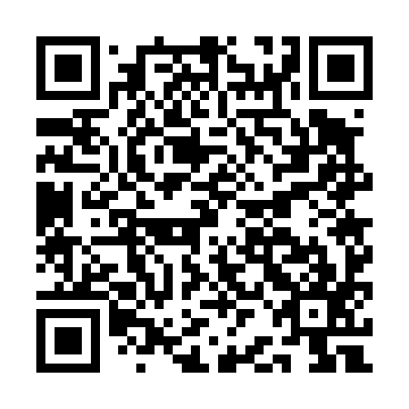 QR code for ABG 497