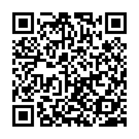 QR code for ACE 028