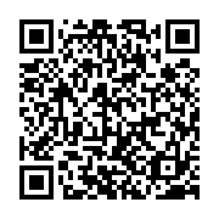 QR code for plate ACE 533