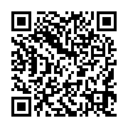 QR code for ACI951