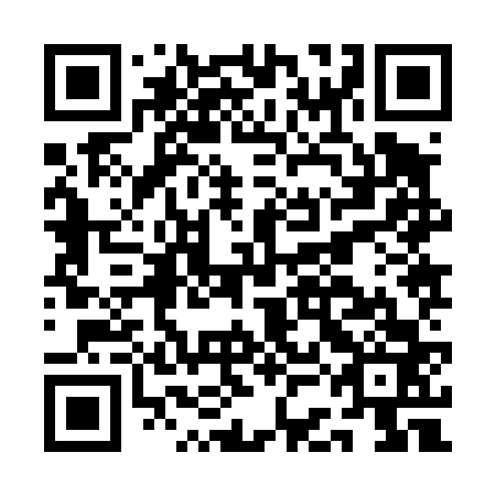 QR code for ACJ 463
