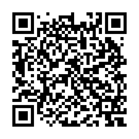 QR code for plate ADS 294