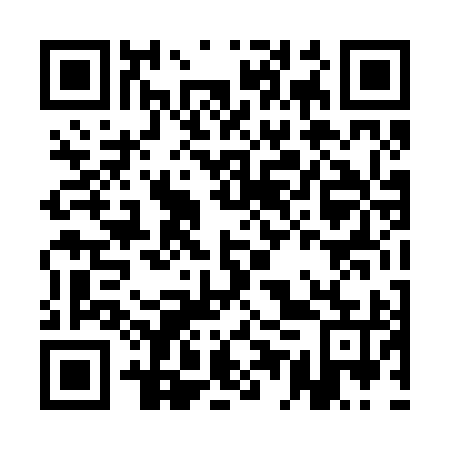 QR code for AET 295