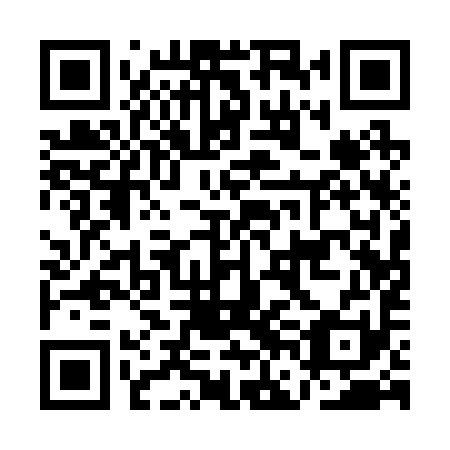 QR code for AFA 291