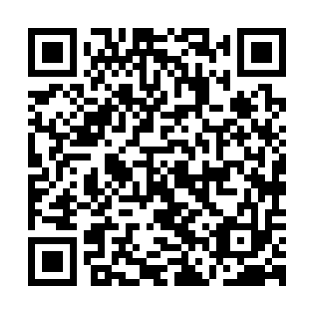 QR code for AFX 313