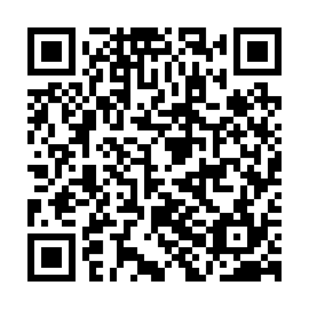 QR code for AHG 234