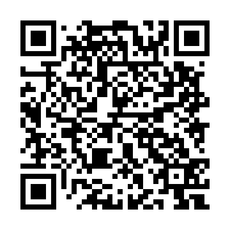 QR code for plate AHX 533