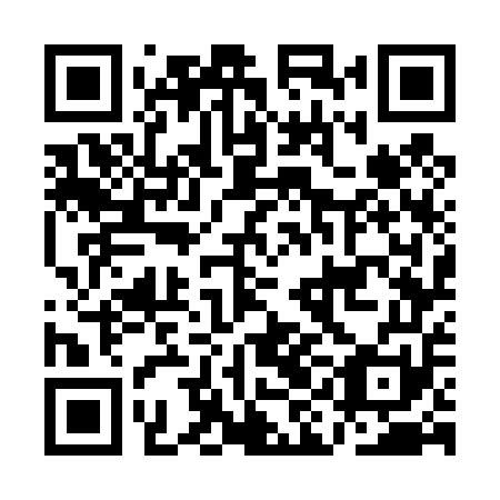 QR code for AIG451