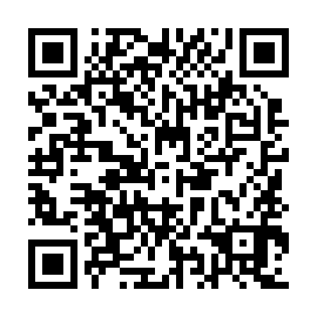 QR code for plate AIL 290