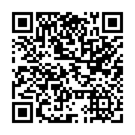 QR code for AIS 917