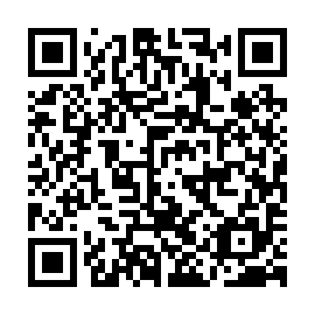 QR code for AIU295