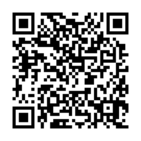 QR code for AIV384
