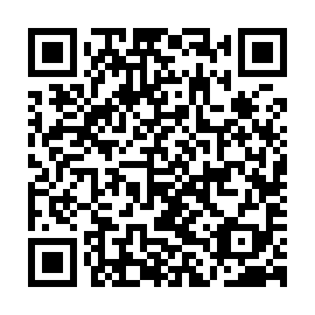 QR code for ALV999