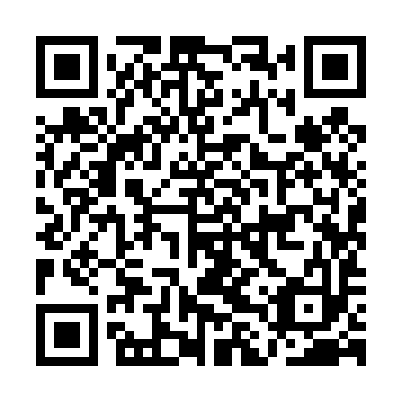 QR code for ALY493