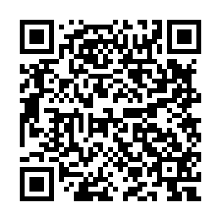 QR code for plate AMB 813