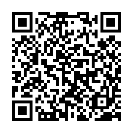 QR code for plate AMI 493