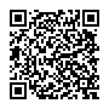 QR code for AMM412