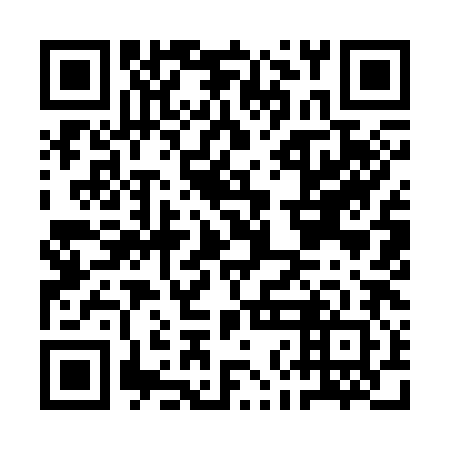 QR code for ANI 382