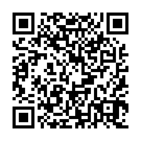 QR code for plate ANK 002