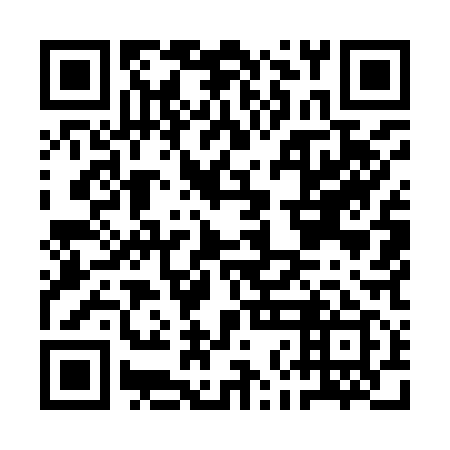 QR code for ANM 919