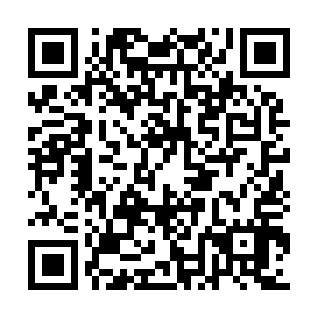 QR code for ANN 917
