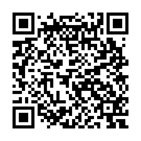 QR code for ANS 313