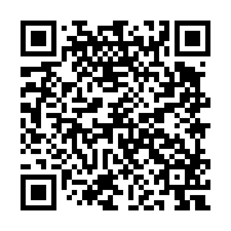 QR code for ANY 486