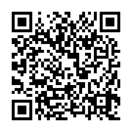 QR code for plate APB 938