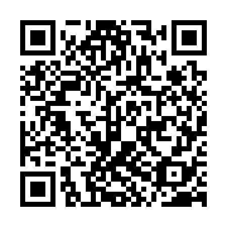 QR code for APG 378