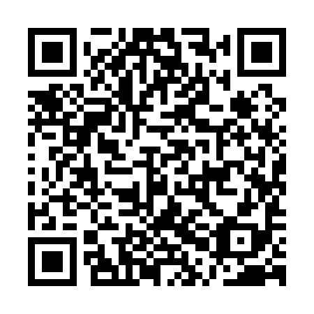 QR code for plate API 198
