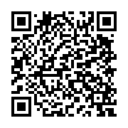 QR code for API441