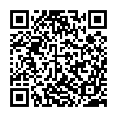 QR code for plate API 557