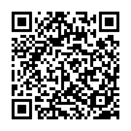 QR code for plate APJ 700