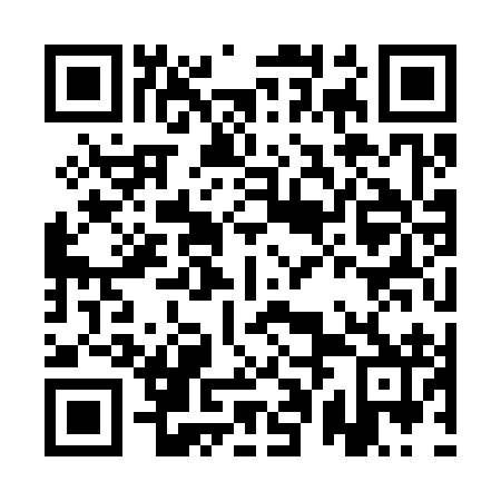 QR code for plate APK 392