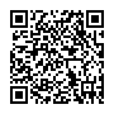 QR code for APL 376