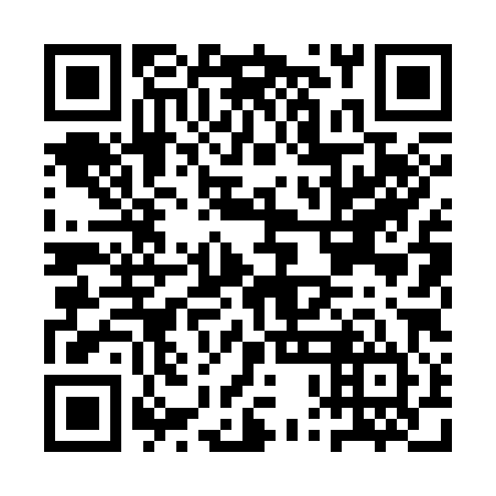 QR code for APL 384