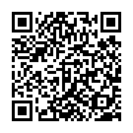QR code for APL 699