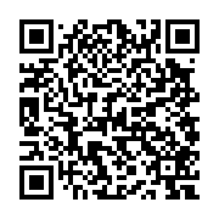 QR code for plate APV 009