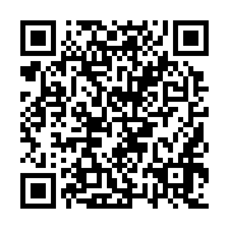QR code for plate ARA 356